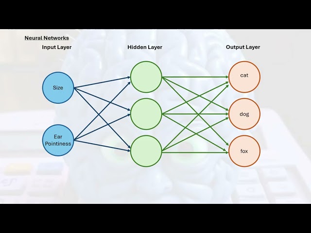Neural Networks