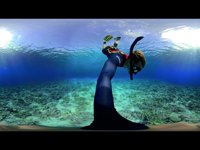 360bubble DEEP - Freedive Henderson North Shore