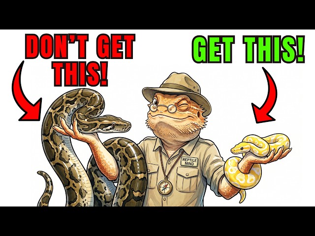 5 Pet Snakes You THINK You Want But Definitely DON'T!