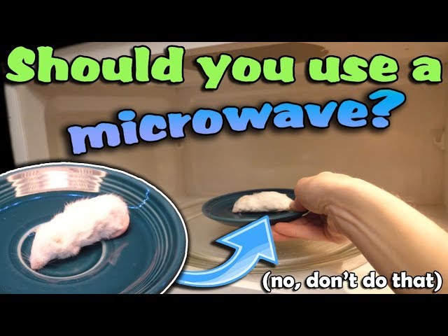 How to Thaw and Store Rodents for Snakes (and where to buy them)