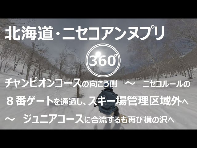 『 360°スキー場 Ep.126 』【 北海道・ニセコアンヌプリ 】チャンピオンコースの向こう側～ニセコルールの８番ゲートを通過し、スキー場管理区域外へ～ジュニアコースに合流するも再び横の沢へ