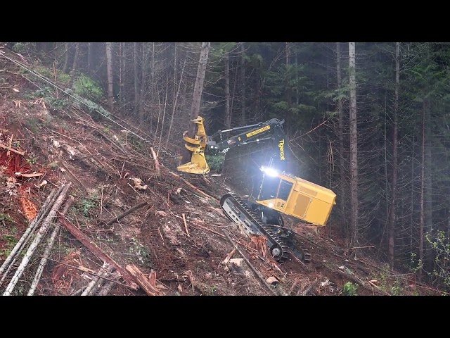 Idaho Logging - Tethered Feller Buncher - Tigercat LX780D
