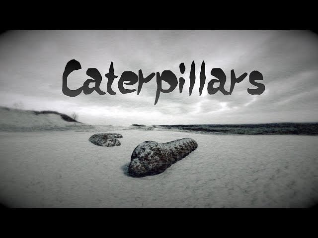 [Blender 2.82]3DCG Animation "Caterpillars"[3DCG]