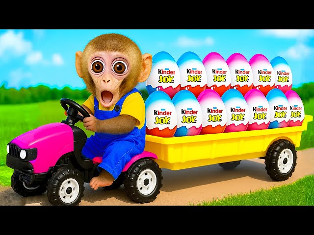 Monkey KiKi drives a car and plays with puppy and duckling by the track