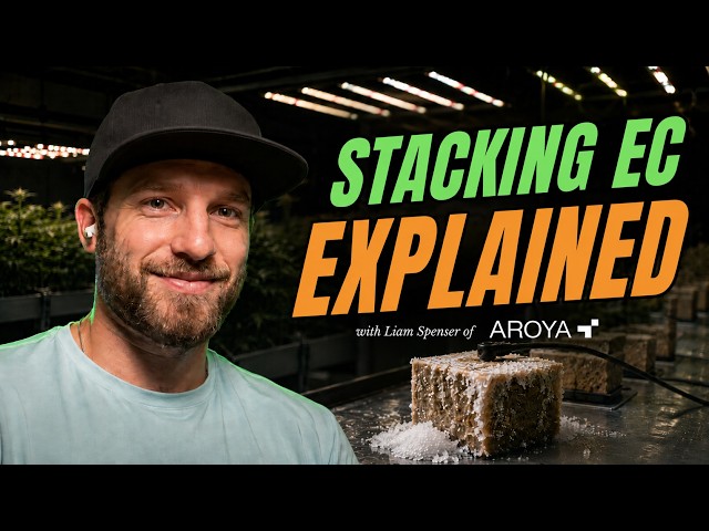How To Stack EC Without Shutting The Plant Down