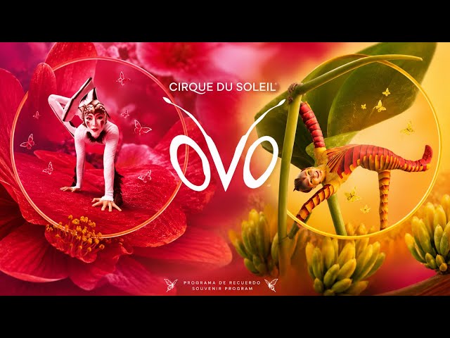 OVO 🥚 Cirque du Soleil spectacles en entier 