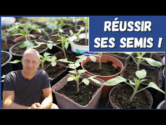 Réussir ses semis [TUTO]