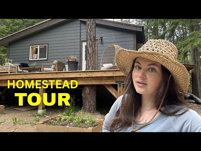 1 year Cabin Renovation is FINISHED (full tour) ep. 32