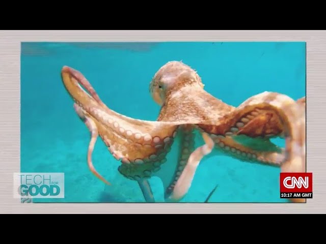Tech For Good: Octopus and worm-inspired robots designed to crawl inside patients