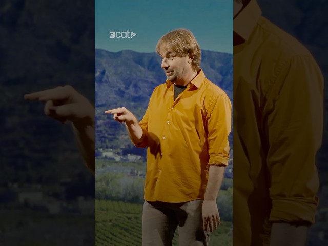 A Tivenys tenen el títol de Dr. honoris causa en tafaneria 🤭