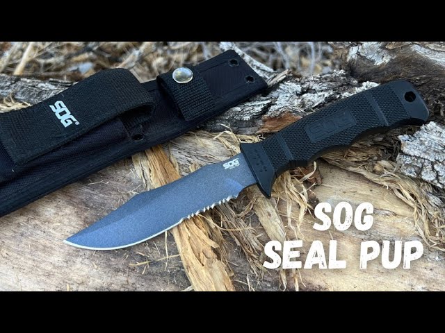 SOG Seal Pup Tactical Fighting Knife, Small Knife with a Killer Instinct!
