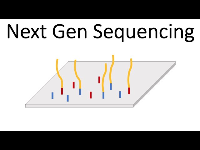 Next Generation Sequencing (Illumina) - An Introduction