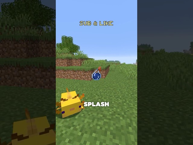 Minecraft’s Water Bottle Has Actual Uses  #minecraft