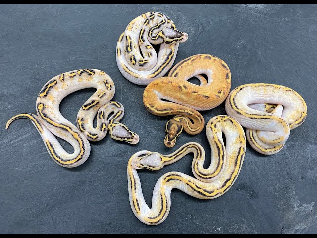 Taking the Freeway less traveled and ran into something I didn't see coming!