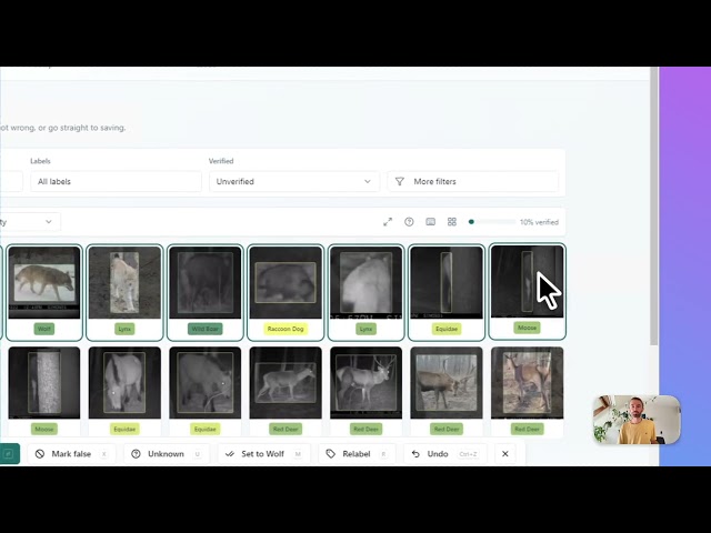 AddaxAI - Use results in Timelapse - 20 Aug 2026- Tutorial