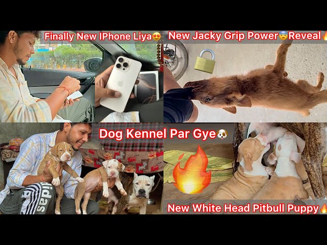 Dost K Dog Kennel Par Gye🐶White Face Pitbull Puppy🔥Finally New I Phone Liya😍New Jacky Gripping Power