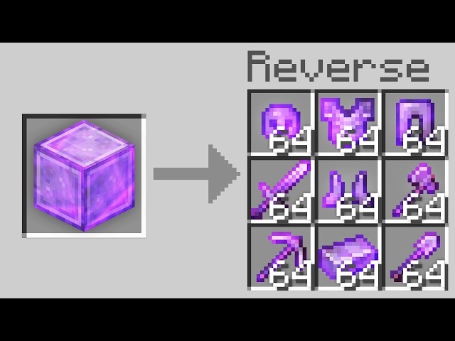 Minecraft, But Everything Is Backwards...