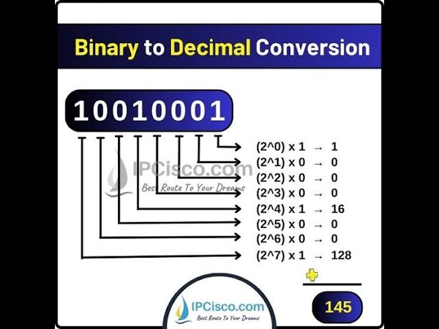 Binary to Decimal Conversion Made Easy! | Class 7 Computer Chapter 1