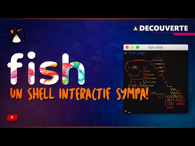 Fish: a cool interactive shell for Linux