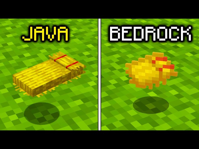 240 Java vs Bedrock: Big Differences You Need to Know in Minecraft! (Compilation)