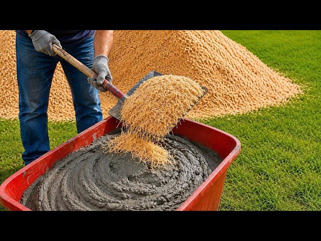 A 60-Year-Old Builder Mixed Cement with Sawdust! Turning the Impossible into a Million-Dollar Secret