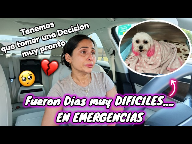 It Happened Again😭... These Have Been Very DIFFICULT Days💔 + We Are Not Prepared for This🥺🕊️