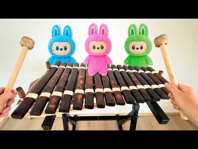 Labubu meme song on 20 different instruments!