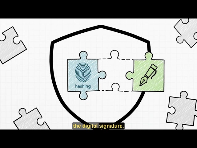 The difference between Hashing, Digital signature, Asymmetric and Symmetric Encryption techniques