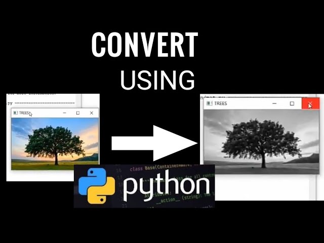 Convert image to black and white using Python | python image processing tutorials