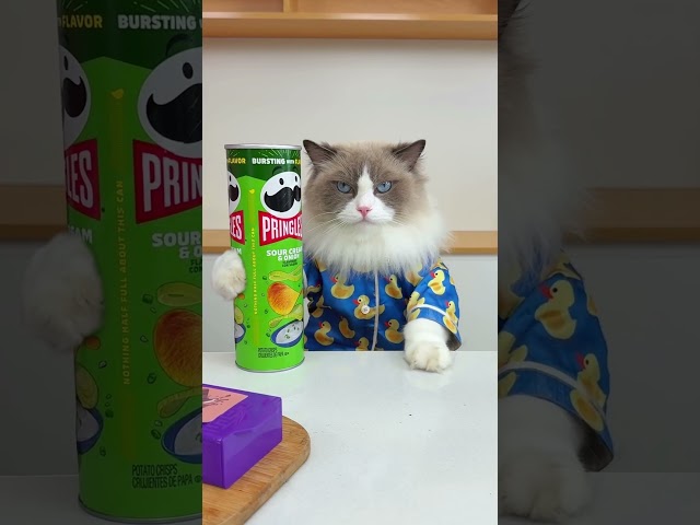 No way! Chips new hacks! #thatlittlepuff