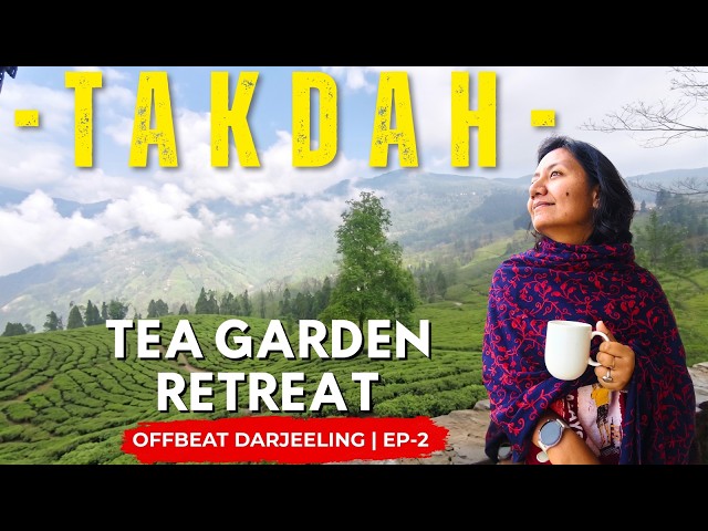 Rediscovering Peace: Living Inside Rangli Ranglot Tea Garden, Takdah [Offbeat Darjeeling Escape] 4K