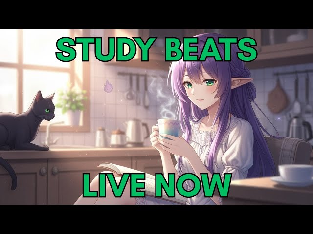 LIVE  Focus Stream – Chill Lofi Beats for ADHD Study, Work & Deep Concentration