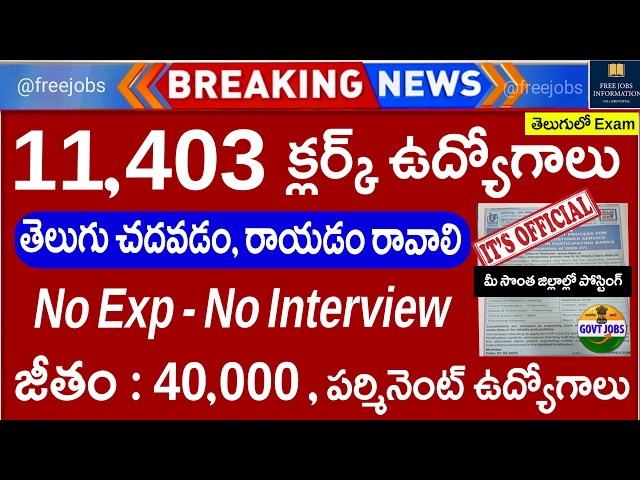 🔥11,403 క్లర్క్ ఉద్యోగాలు,తెలుగు రావాలి | Today Govt Jobs | IBPS Clerk Notification 2026 | JobSearch