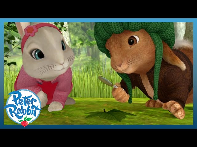 @OfficialPeterRabbit - 🔎 LEARNING Adventures With Benjamin and Lily 🔎 | STEM | Cartoons for Kids