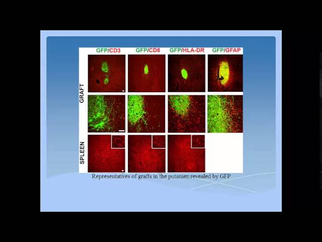 Science Breakthroughs - Week of May12th