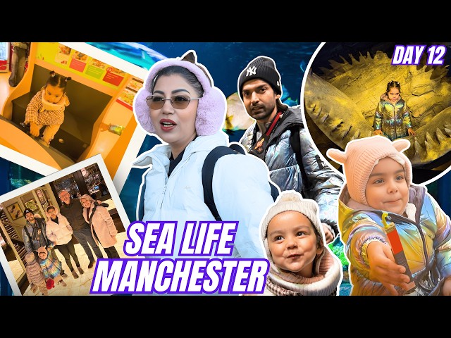 Sea Life Manchester | Day 12 | HINDI | Debina Decodes |