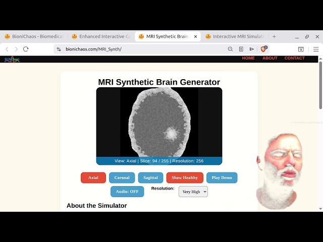 Interactive Synthetic Brain MRI Web App: Real-Time Algorithmic Scans