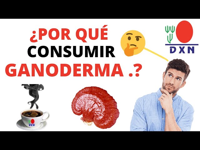 🍄TOP 6 BENEFICIOS y PROPIEDADES del GANODERMA Lucidum DXN | 2022 (DXN Productos)