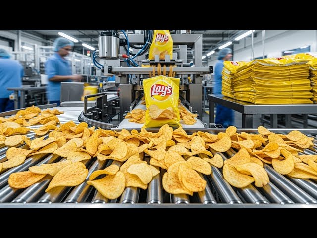 Inside Industry Lays Manufacturing process AMAZING!