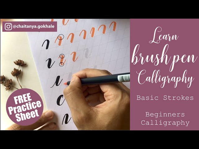 Learn Brush Pen Calligraphy for Beginners | Basic Strokes Tutorial | FREE Printable Practice Sheet