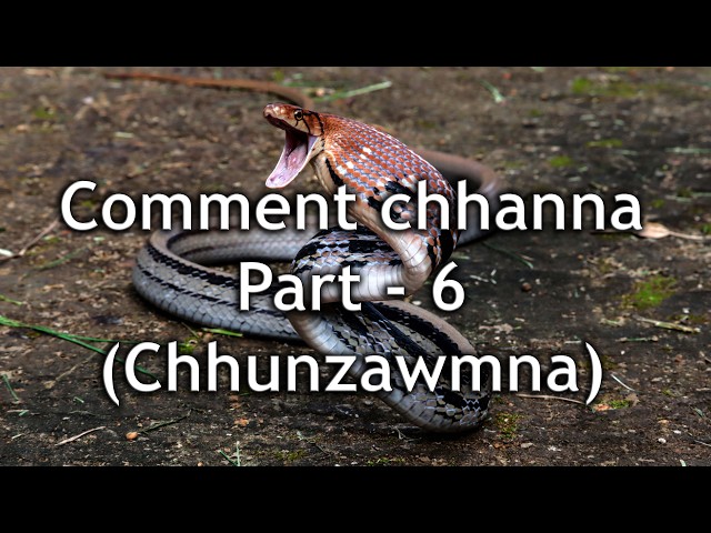Comment chhanna p 6 (1)