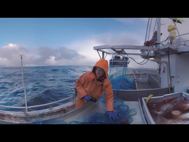 Experience Fishing in Norway in 360 VR Video | SeeBoundless + The Weather Channel