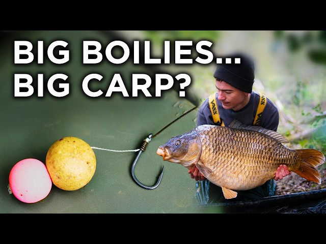 Carp Fishing Tips - Catching Bigger Fish With Boilies