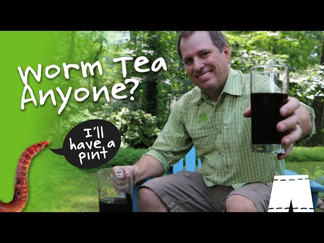 How To Use Composting Worm Leachate [It's Not Tea Yet]