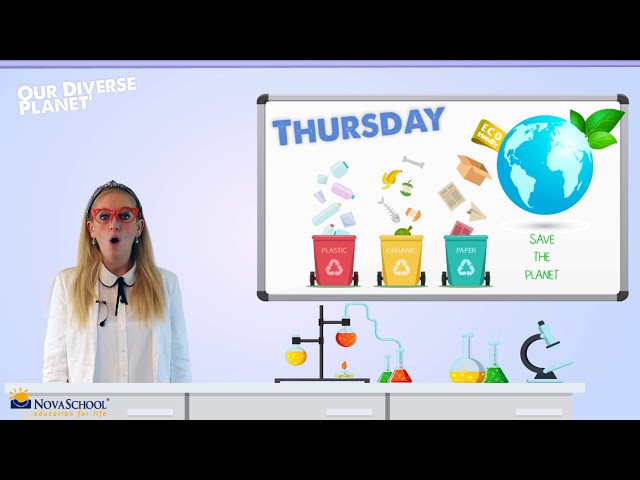 Science Week - Preschool - Thursday