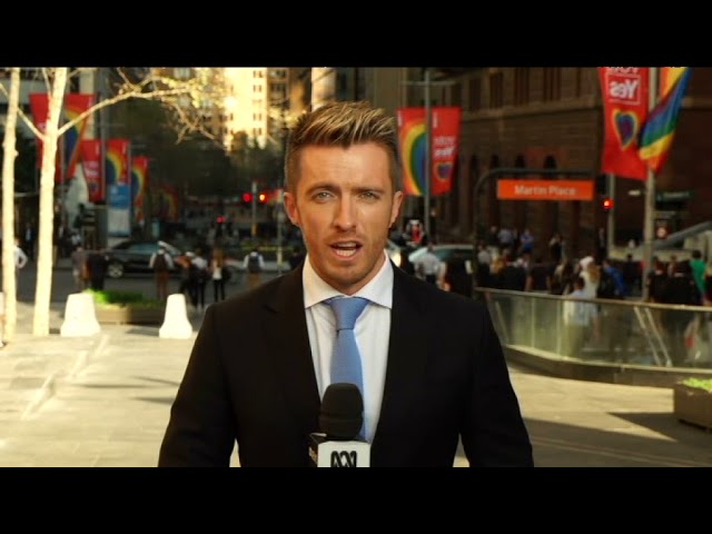 Mark Reddie ABC News "Cold Case Breakthrough"