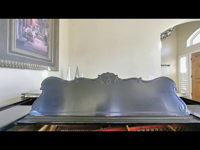 180 3D Playing Piano