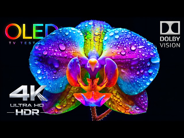 ONLY OLED TEST You Need | Stunning 4K Video HDR 240FPS Dolby Vision (4K TV)