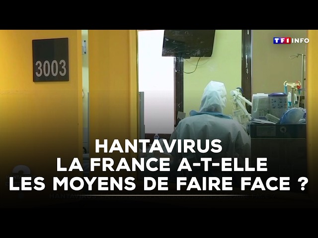 Hantavirus: Does France have the resources to cope? | TF1 INFO