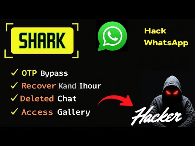 I Found WhatsApp OSINT Tools on GitHub at 3AM | Latest WhatsApp Tool For Termux and Kali Linux 2025